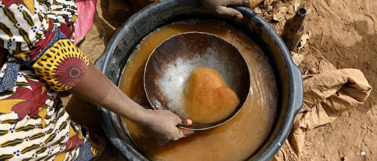 Structuration et Accompagnement des Orpailleurs